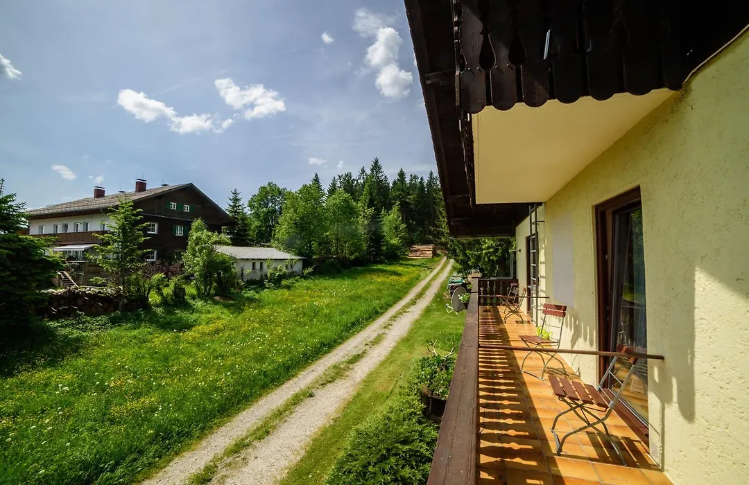 Pension Arberwald-1